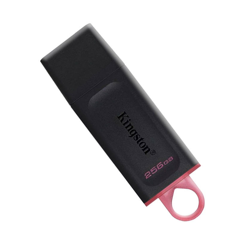 Kingston DataTraveler Exodia 256GB USB 3.2 Flash Drive