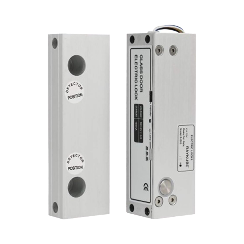 Frameless Glass Door Access Control System