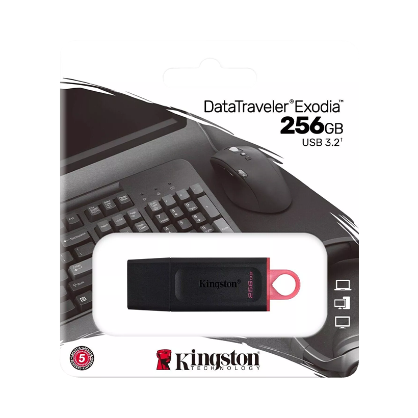 Kingston DataTraveler Exodia 256GB USB 3.2 Flash Drive