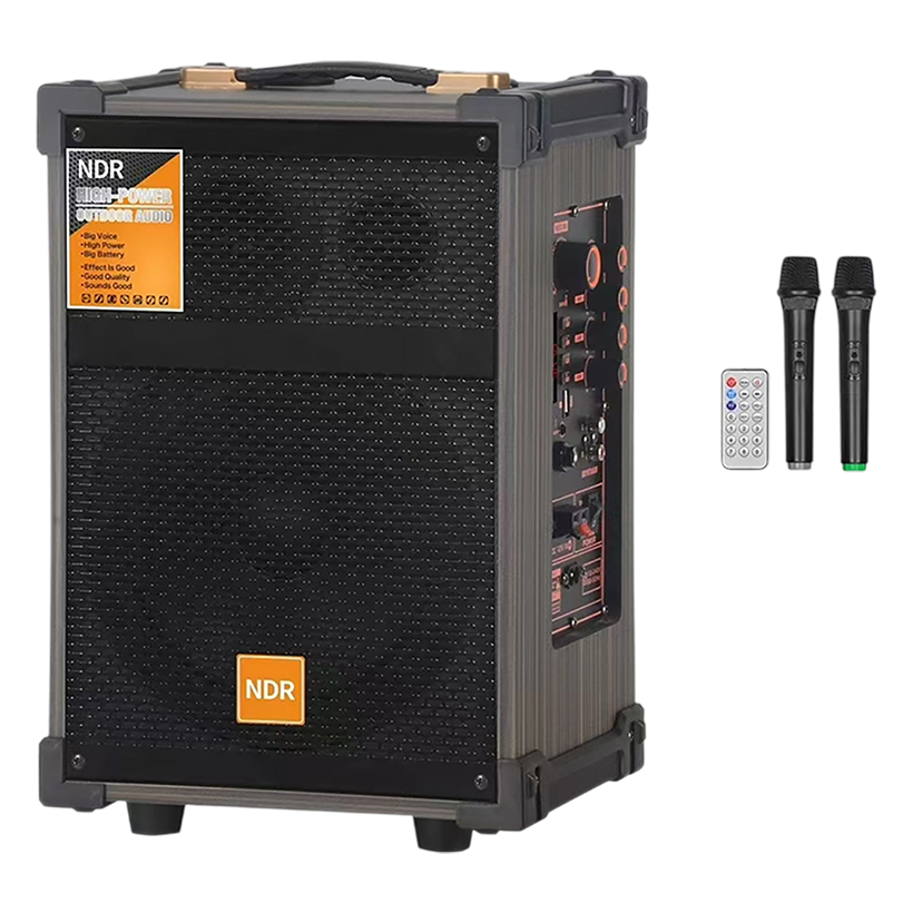 NDR-C8 Speaker | NDR C8_ 40W