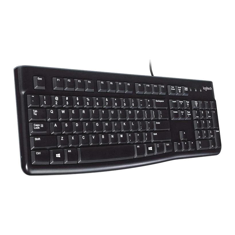 Logitech K120 Wired Keyboard for Windows, Plug and Play, Full-Size, Spill-Resistant, Curved Space Bar, Compatible with PC, Laptop - Black