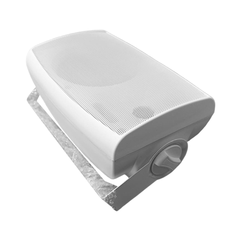 Wall Speaker Bass 5.25 30W / 70-100V