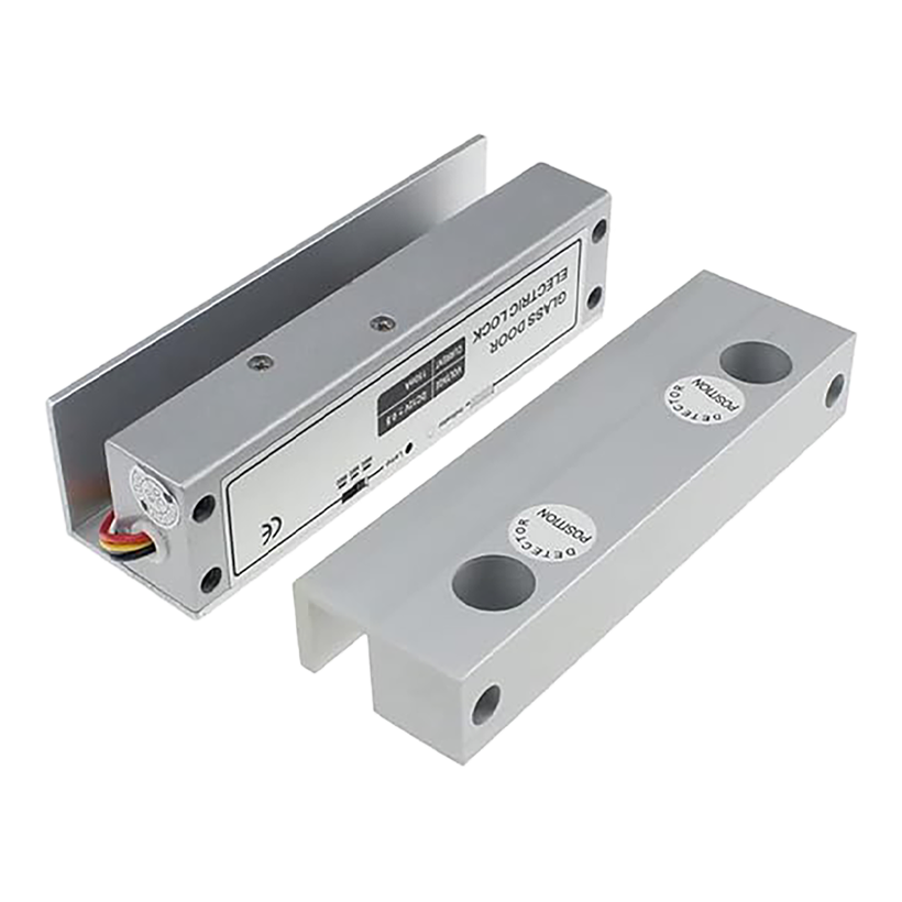 Frameless Glass Door Access Control System