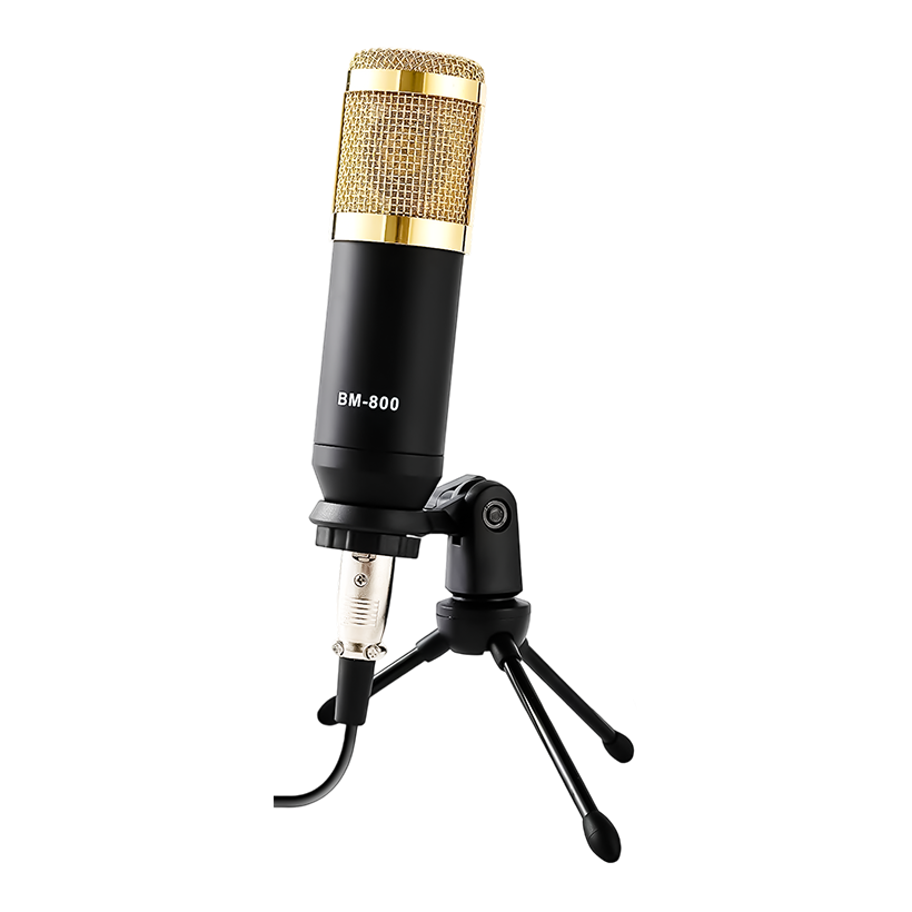 F998 + BM800 Microphone STAND MINI Mixer with Mic Stand | F__ 998 BM_ 800
