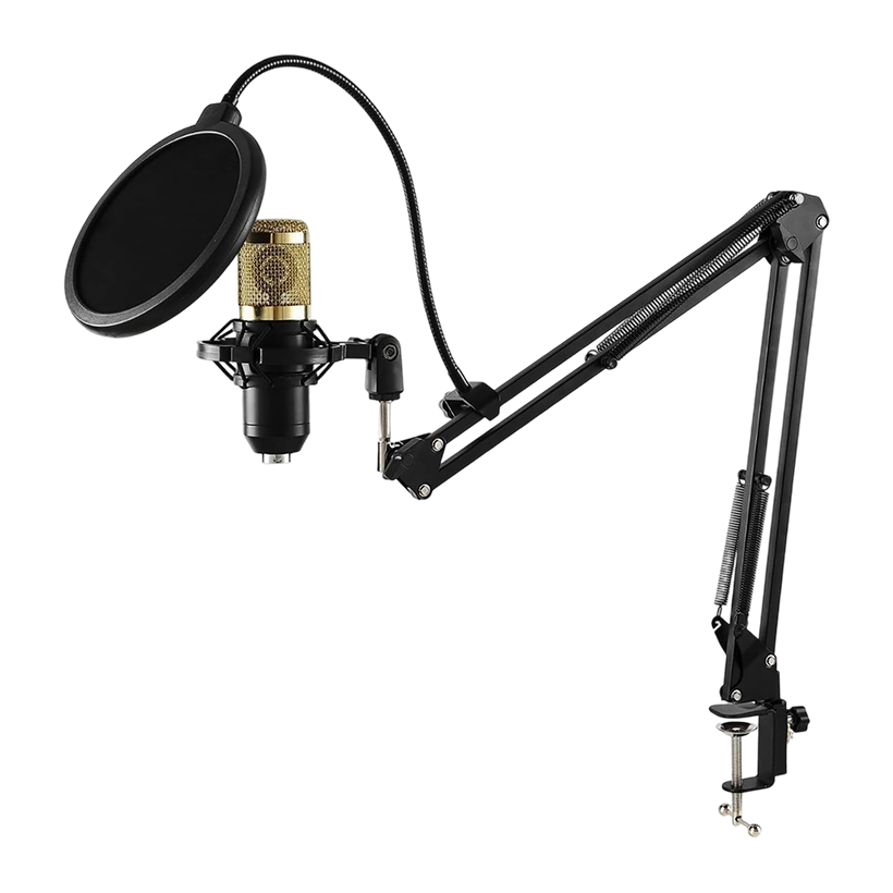 F998 + BM800 Microphone Long Arm, Mixer with Mic | F__ 998 BM_ 800