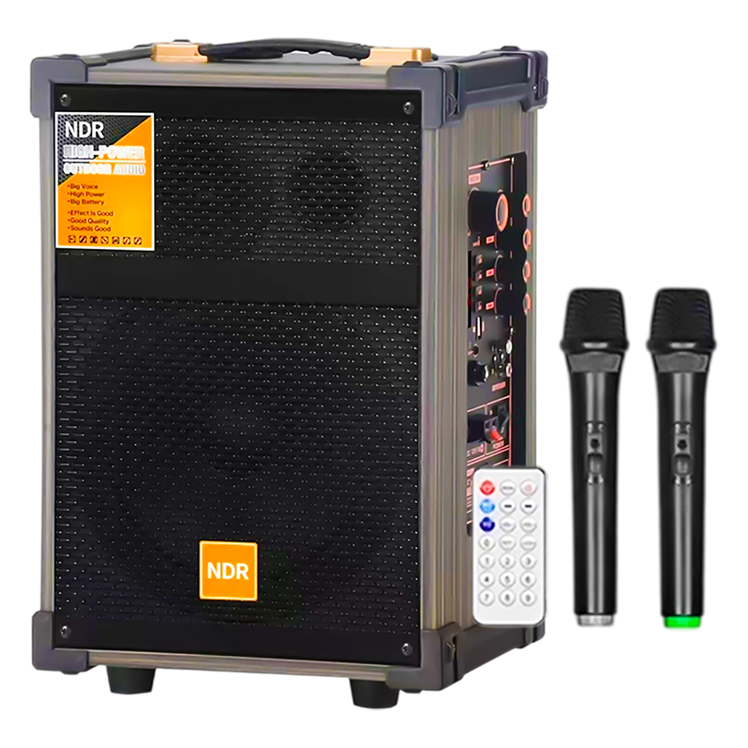 NDR-C8 Speaker | NDR C8_ 40W