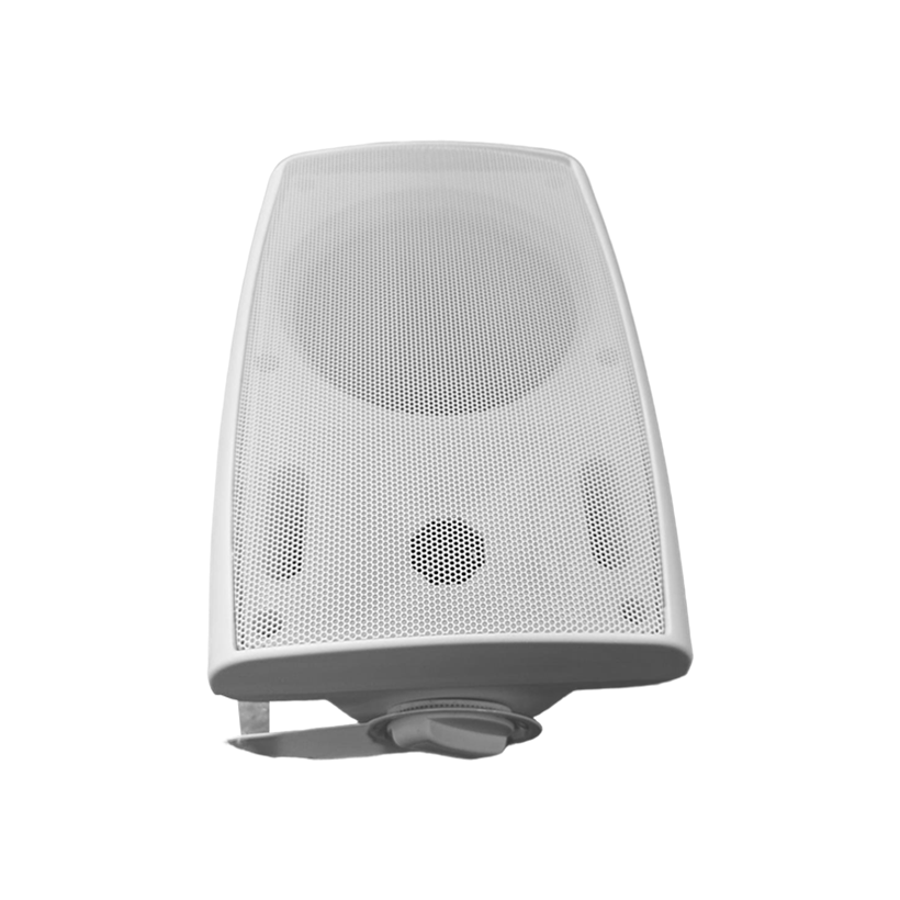 Wall Speaker Bass 5.25 30W / 70-100V